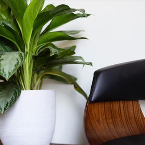 Tips for a Healthy Lifestyle